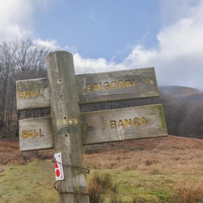 Autza16 Janvier 20252c8a9573