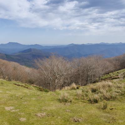 Mendaur11 Avril 20252c8a3364