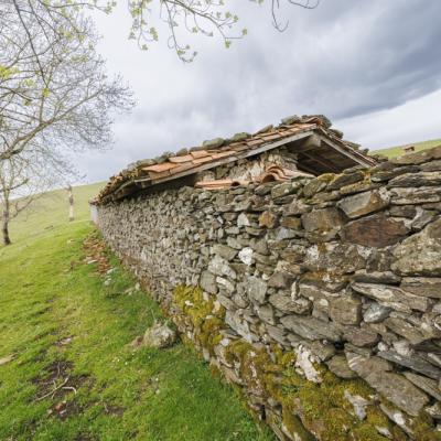 Mendaur11 Avril 20252c8a3511