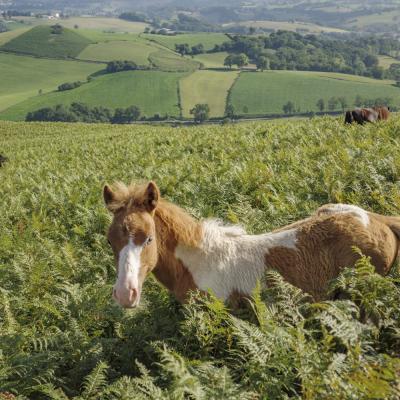 Baigoura25 Juillet 2025r0002185
