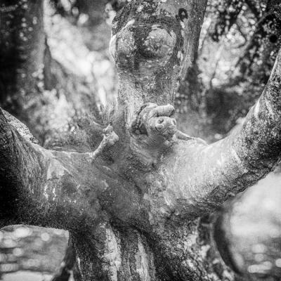 Baigoura25 Juillet 2025r0002212