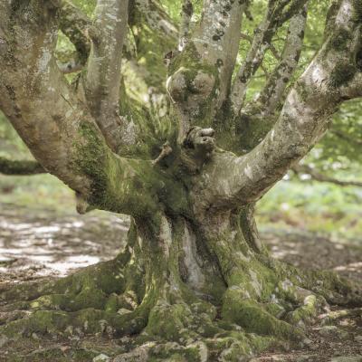 Baigoura25 Juillet 2025r0002214