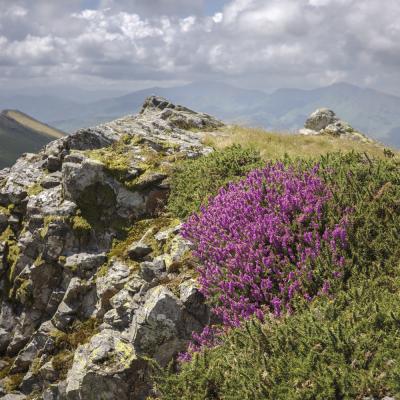 Baigoura25 Juillet 2025r0002296