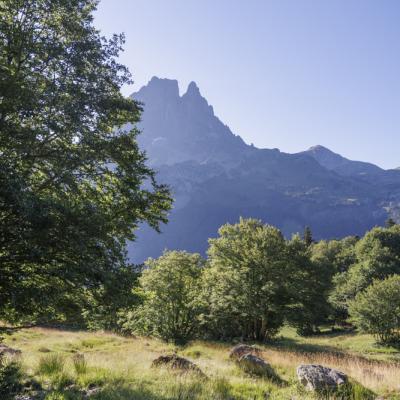 Lac D Ayous27 Juin 20252c8a0635