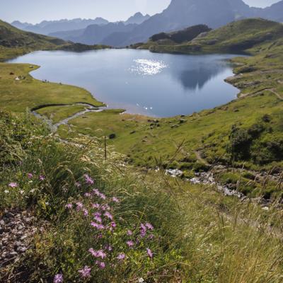 Lac D Ayous27 Juin 20252c8a0688