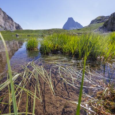 Lac D Ayous27 Juin 20252c8a0723