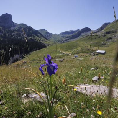 Lac D Ayous27 Juin 20252c8a0737