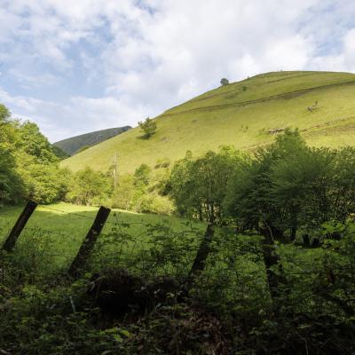 Irau09 Mai 20252c8a1680