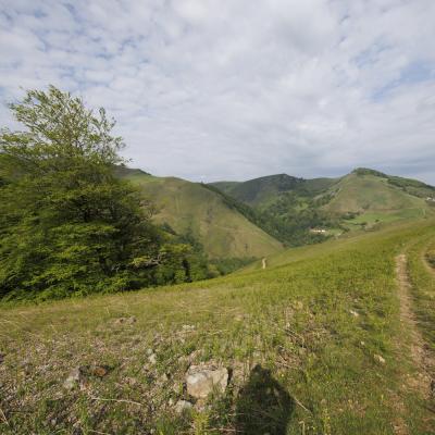 Irau09 Mai 20252c8a1699