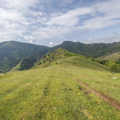 Irau09 Mai 20252c8a1732