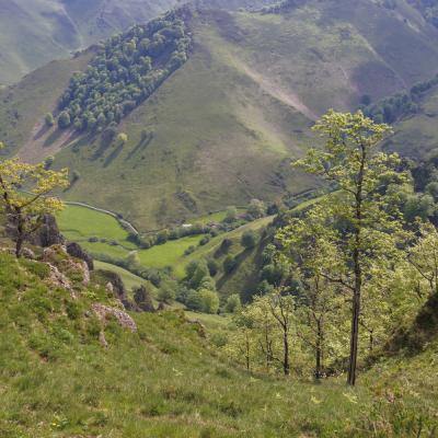 Irau09 Mai 20252c8a1768 2