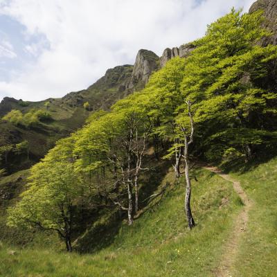 Irau09 Mai 20252c8a1775 2