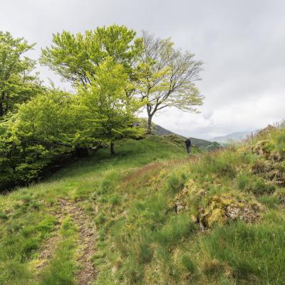 Irau09 Mai 20252c8a1807 2