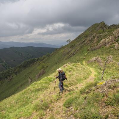 Irau09 Mai 20252c8a1812 2