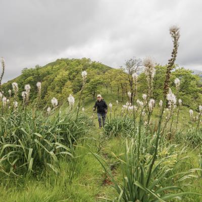 Irau09 Mai 20252c8a1845 2